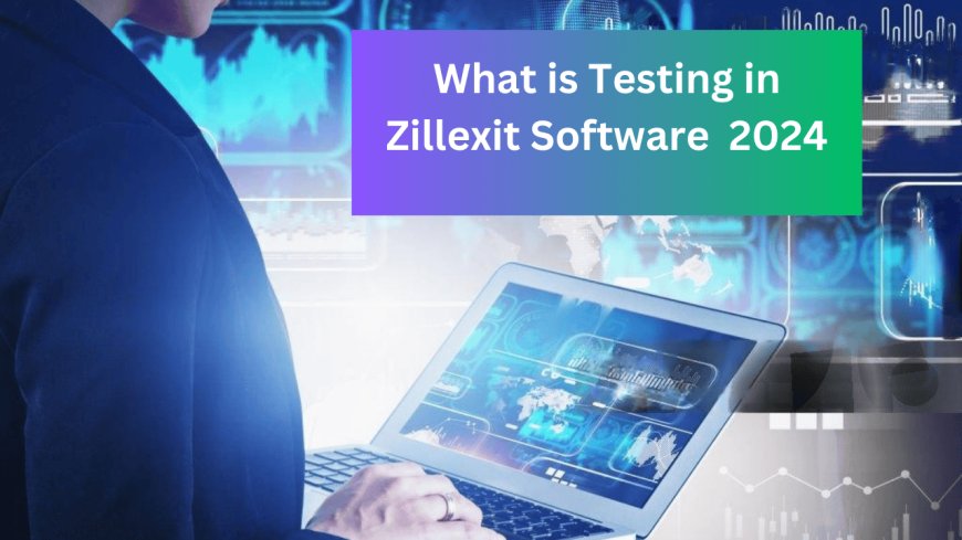 What is Testing in Zillexit Software 2024